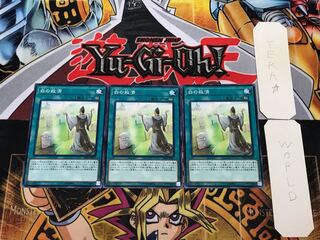 Whitefish Salvage PP20 1 Normal Set of 3 Tera