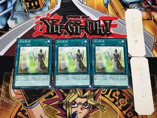 Whitefish Salvage PP20 2 Normal Set of 3 Tera