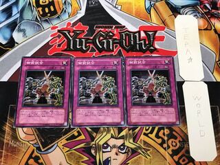 御前試合 CSOC 3 ノーマル 3枚セット てら