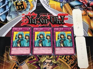 Waboku SD26 2 Normal, set of 3 Tera