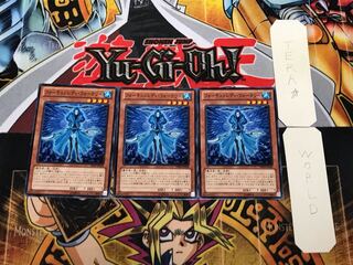 Fortune Lady Water DE04 2 Normal, set of 3 Tera