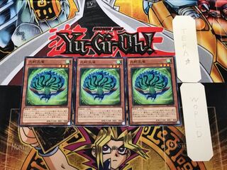 九蛇孔雀 PR03 1 ノーマル 3枚セット てら