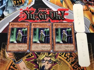 Magical Scientist 303 1 Normal, set of 3 Tera.