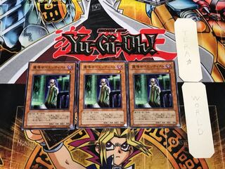 Magical Scientist 303 2 Normal, set of 3 Tera.