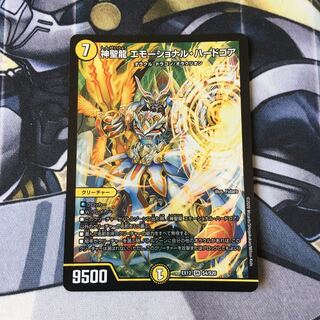 神聖龍 エモーショナル・ハードコア　1枚