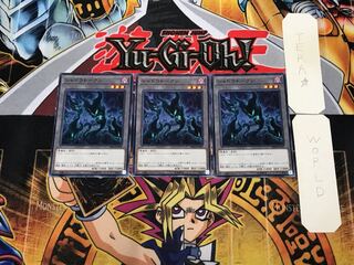 Shadow Token SR06-JPYKN 2 Normal, set of 3 Tera.