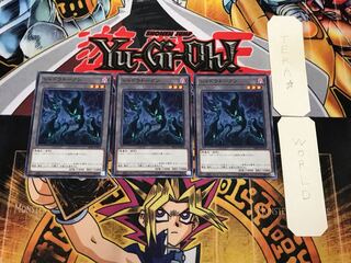 Shadow Token SR06-JPYKN 3 Normal, set of 3 Tera.