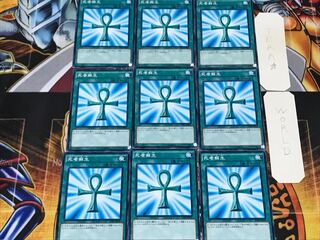 死者蘇生 SDKS 1 ノーマル 9枚セット てら