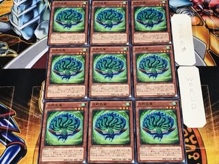 九蛇孔雀 PR03 1 ノーマル 9枚セット てら