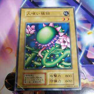 人喰い植物　初期ノーマル