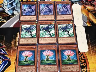 サクリファイス・ロータス エアーマン 電光-雪花- 1 ノーマル 各3枚セット