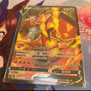 マルヤクデV CSR