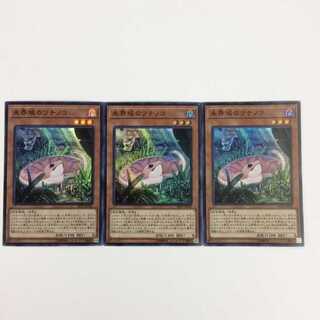 未界域のツチノコ EP19-JP028 スーパー 3枚セット No,61