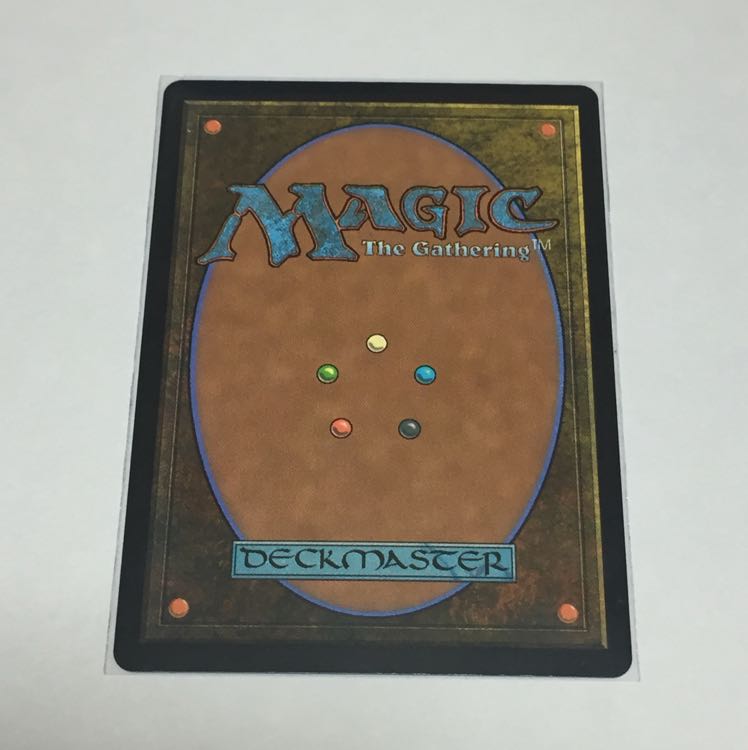 王家の跡継ぎ  The Royal Scions