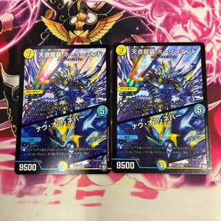 天命龍装ホーリーエンド 2枚