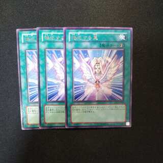 進化する翼 レア