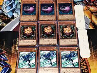 Airman Sangan Needle Worm 1 Normal Set of 3 each Conclusion