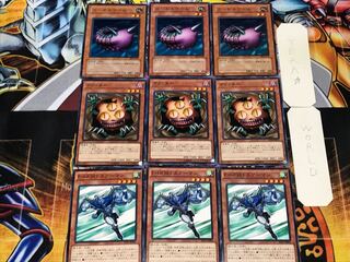 Airman Sangan Needle Worm 3 normal, set of 3 each, summary