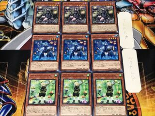 Aromatherapy - Laurier, Rosemary, Marjoram 1 normal, set of 3 each