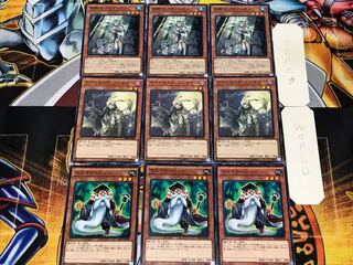 Mathematician Night End Crusadia Arboria 3 Normal Set of 3 each