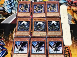 D.D.クロウ 精気を吸う骨の塔 TG ワーウルフ 2 ノーマル 各3枚セット