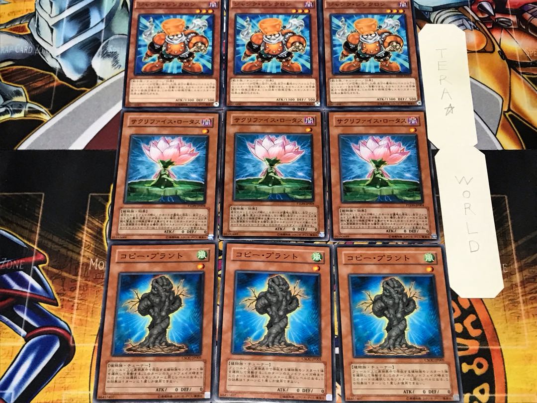 Copy Plant Lotus Junk Synchron 3 Normal, set of 3 each