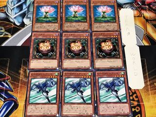 エアーマン クリッター  ロータス 3 ノーマル 各3枚セット