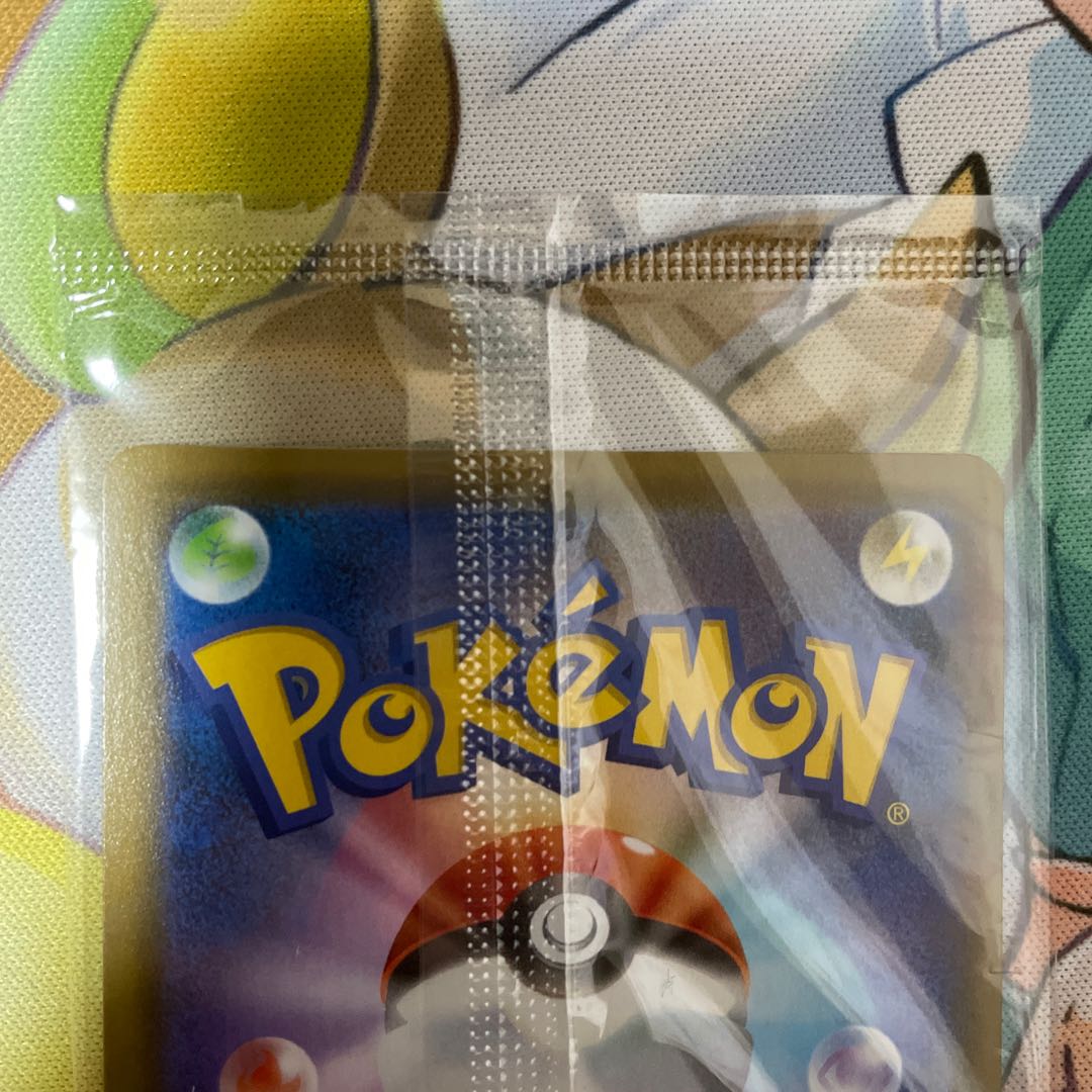 ルリナの休息 長場のピカチュウセット