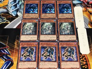 T.G. Warwolf Crusadia Arboria Kinka-byo 1 Normal Set of 3 each