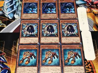 スレイブタイガー グラットン 金華猫 1 ノーマル 各3枚セット