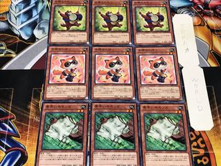 Nimble Momonga Baby Raccoon Ponpoko Tantan 2 Normal Set of 3 each