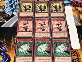 Nimble Momonga Baby Raccoon Ponpoko Tan Tan 2 Normal, set of 3 each