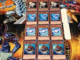 Nimble Angler manta ray, sunfish, flying squirrel, 1 normal, set of 3 each