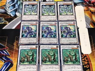 Naturals Junk Warrior Stardust 3 Normal, set of 3 each