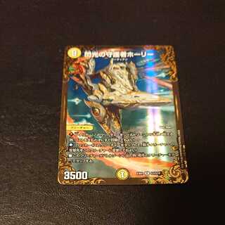 閃光の守護者ホーリー R G3/G10 [1025]