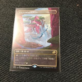 s3様専用　ケトリアのトライオーム レア