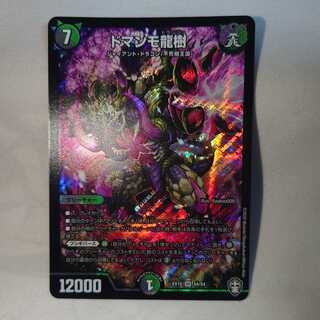 ドマンモ龍樹　1枚