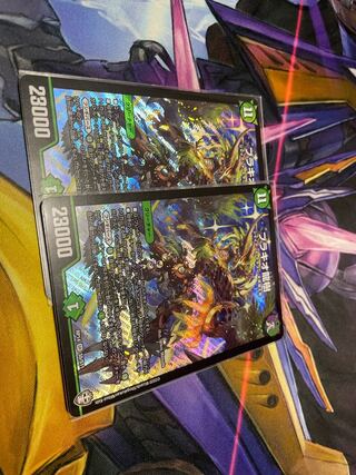 最安値　2枚　ブラキオ龍樹