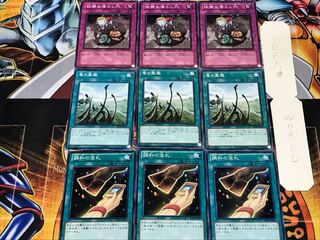 調和の宝札 竜の霊廟 狡猾な落とし穴 1 ノーマル 各3枚セット