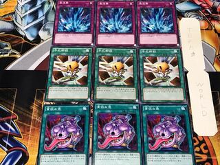 Pot of Avarice Hand Destruction Torrential Tribute 1 Normal Set of 3 each