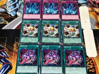 貪欲な壺 手札断殺 激流葬 2 ノーマル 各3枚セット