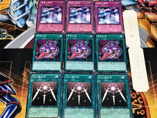 光の護封剣 貪欲な壺 銀幕の鏡壁 2 ノーマル 各3枚セット