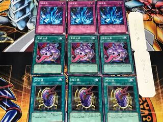 Dragon's Mirror Pot of Avarice Torrential Tribute 2 Normal Set of 3 each