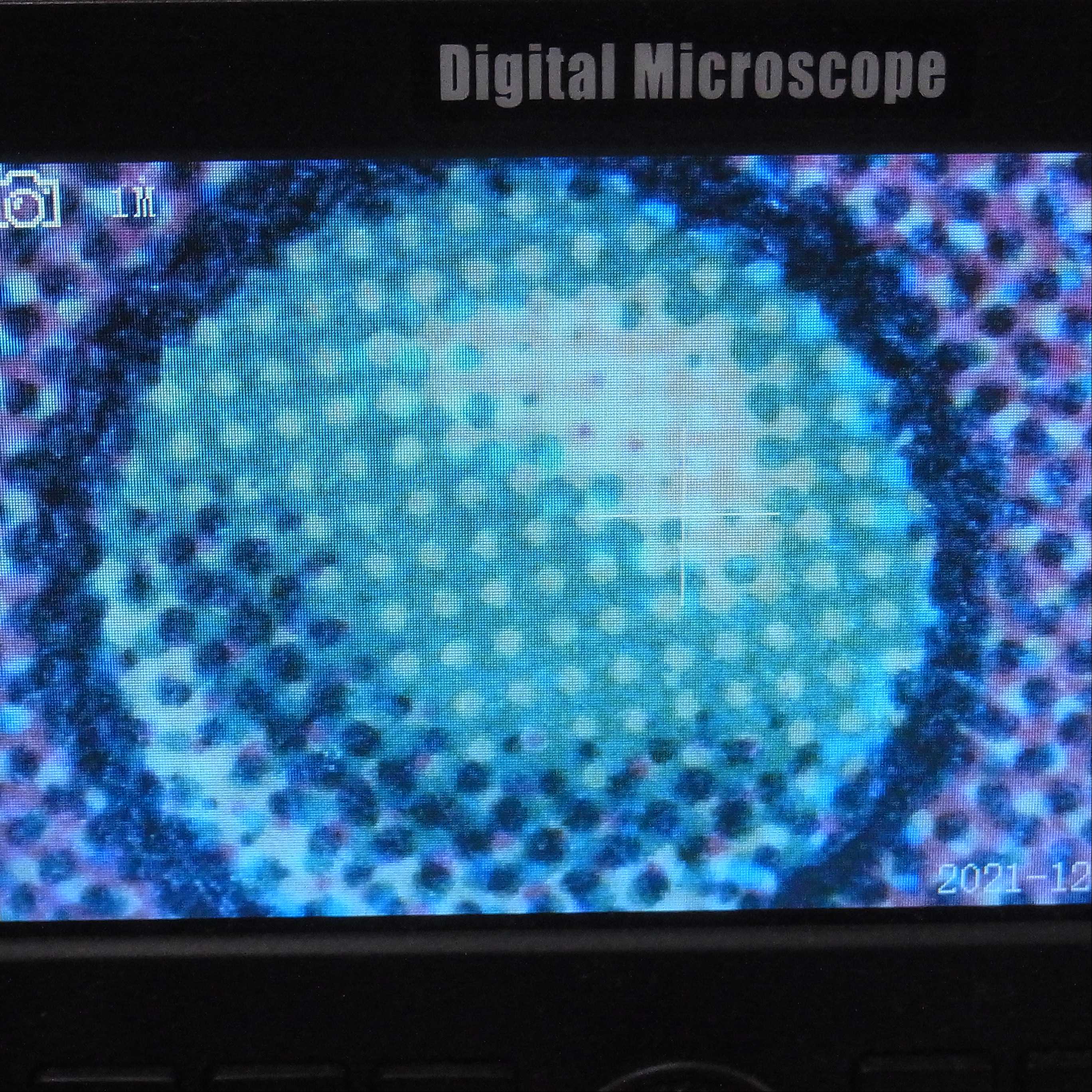 【英】Scrubland [BETA/LEB]【NM】/管理:▼MM0156A  1枚