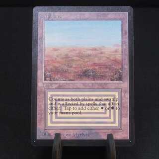 【英】Scrubland [BETA/LEB]【NM】/管理:▽MM0157A  1枚