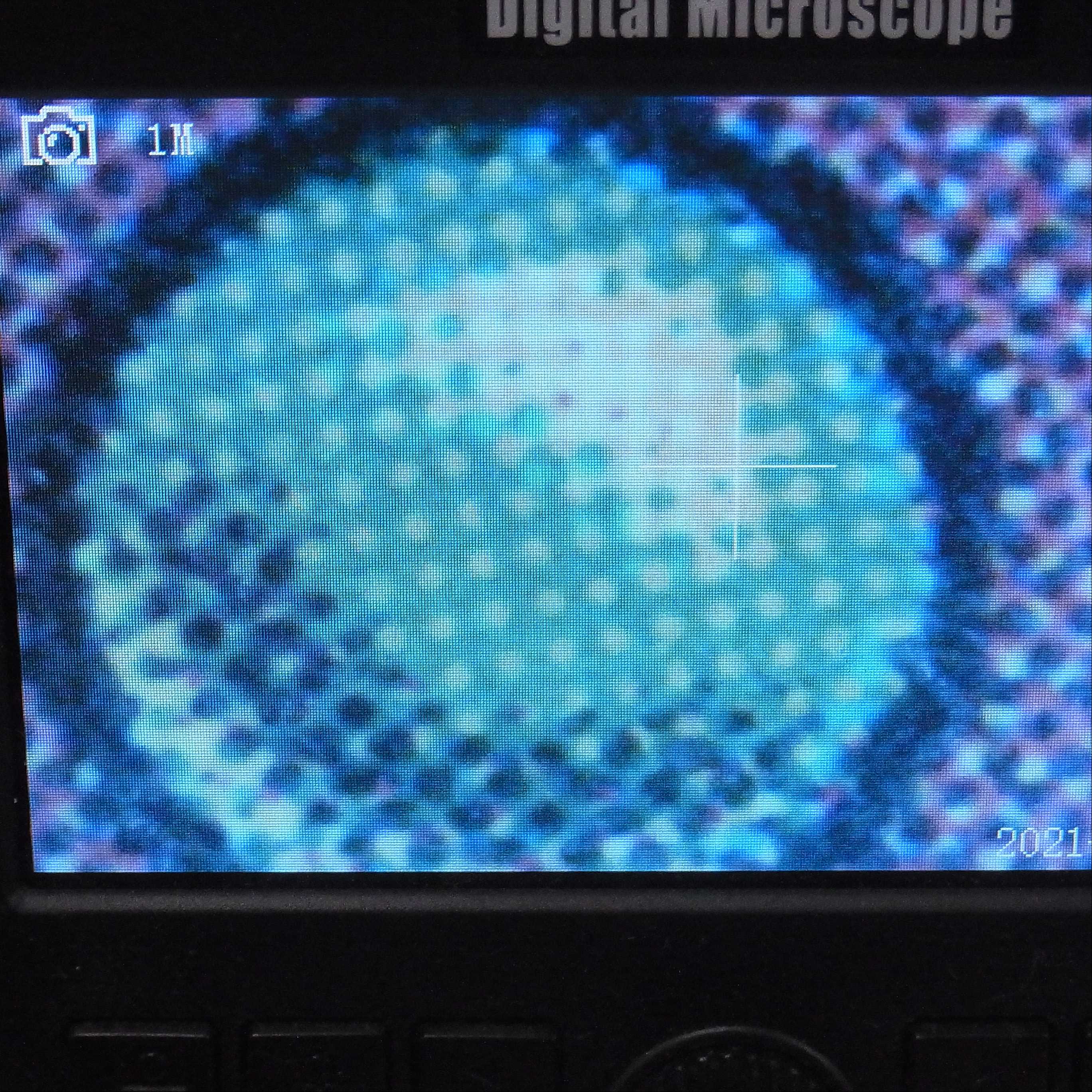 【英】Scrubland [BETA/LEB]【NM】/管理:▽MM0157A  1枚