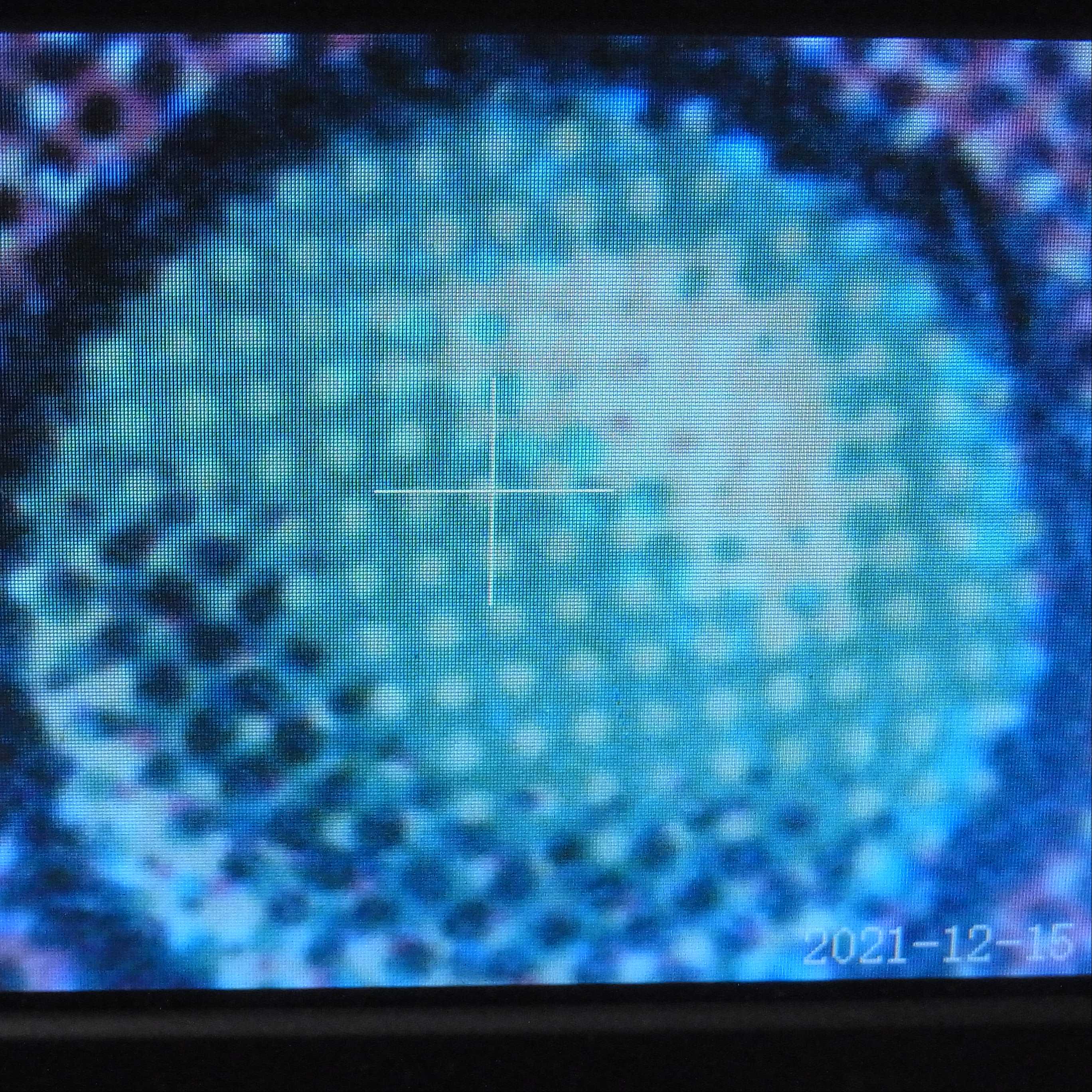 【英】Scrubland [BETA/LEB]【EX】/管理:▼MM0158A  1枚