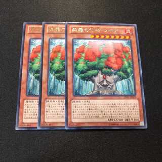 森羅の仙樹 レギア レア