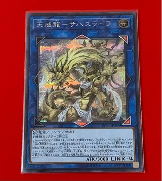 天威龍-サハスラーラ  シークレット シク