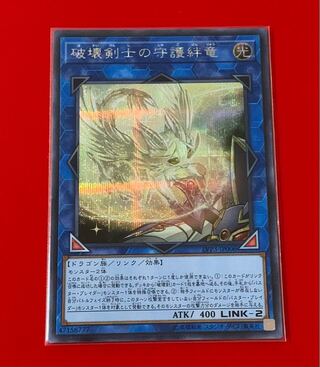 Protector Whelp of the Destruction Swordsman Secret Sik.